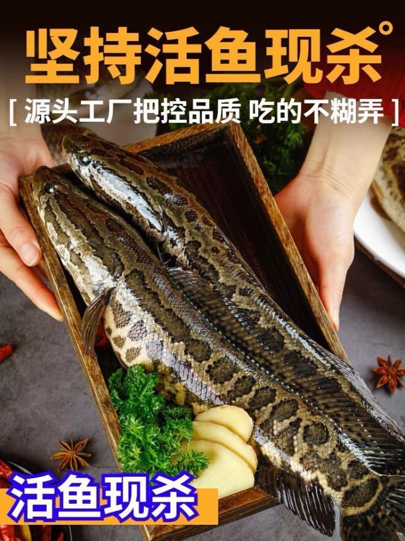 免浆黑鱼片批发电商社区团购可以定做货源稳定