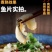免浆黑鱼片批发电商社区团购可以定做货源稳定
