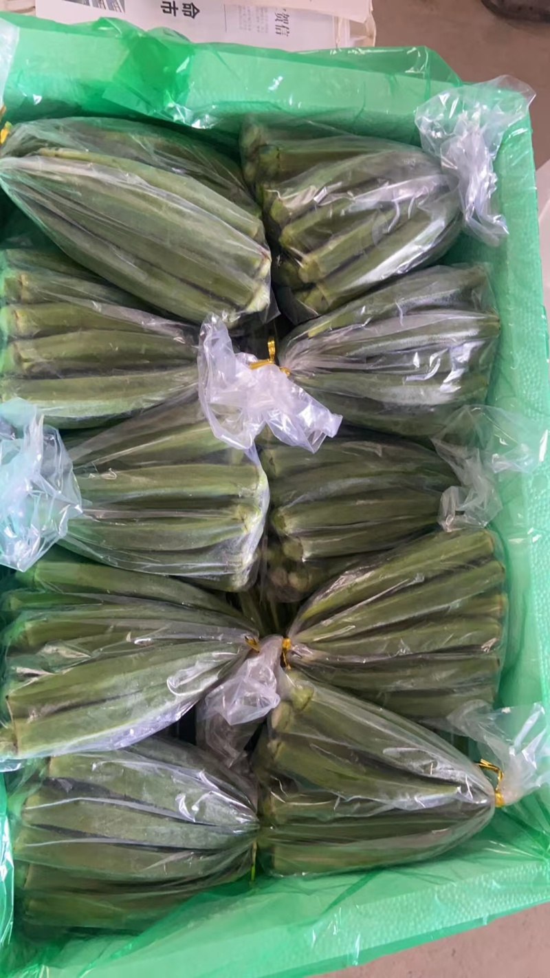 福建精品黄秋葵水果秋葵大量上市品质保障欢迎来电