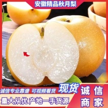 砀山秋月梨，皮薄核小，超甜无渣，产地直供，欢迎选购