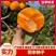 精品【柿子】阳丰脆柿品质保证个头均匀包熟包甜质优价廉