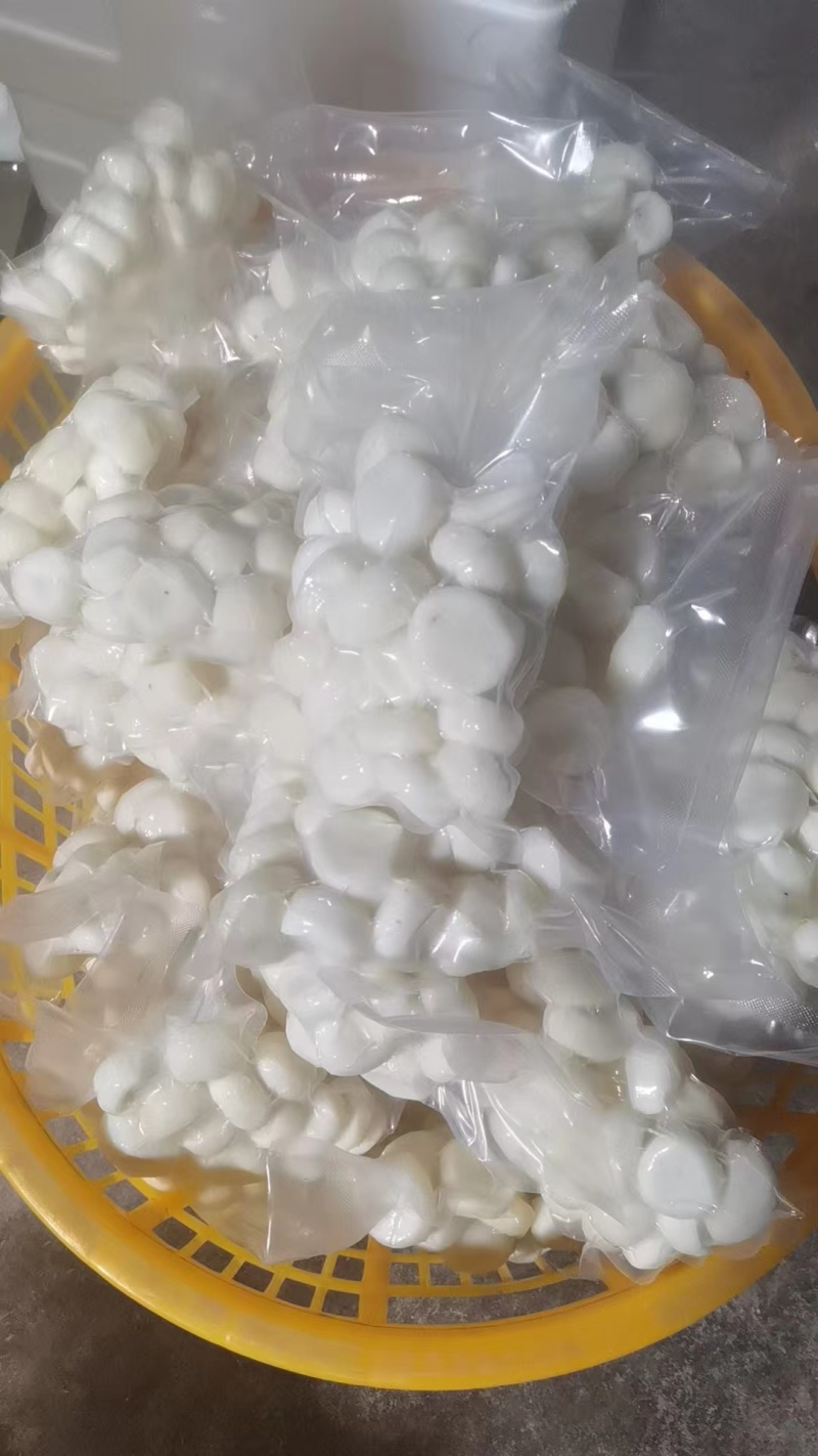 福建漳州毛马蹄精品马蹄粒现削马蹄新鲜发货品质保证