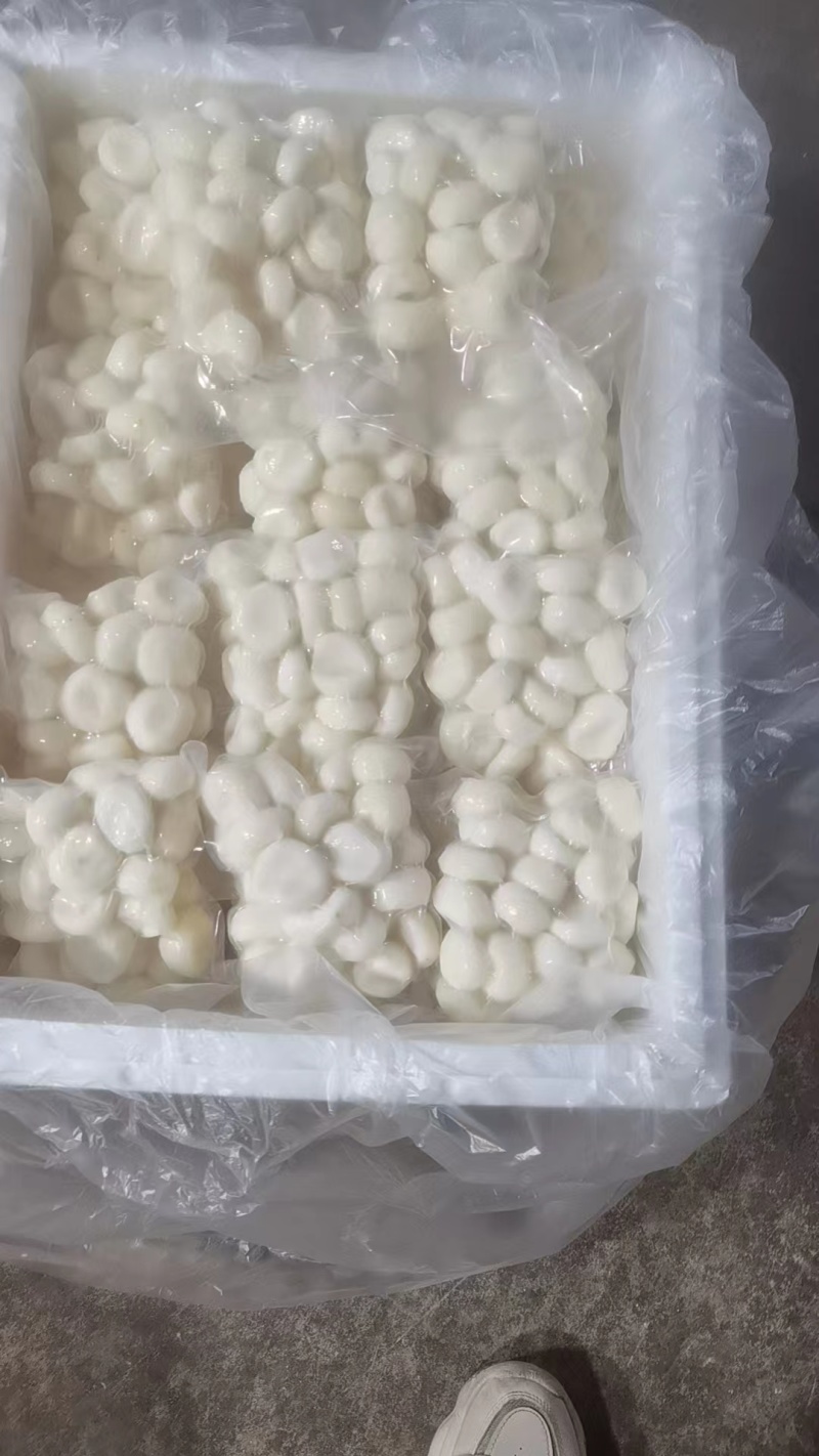 福建漳州毛马蹄精品马蹄粒现削马蹄新鲜发货品质保证