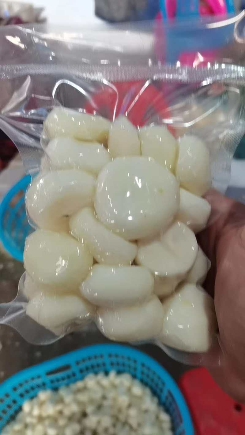 福建漳州毛马蹄精品马蹄粒现削马蹄新鲜发货品质保证