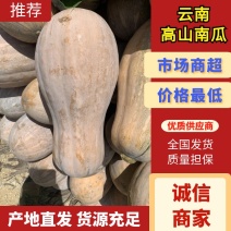 云南高山南瓜蜜本南瓜产地发货一件代发欢迎咨询