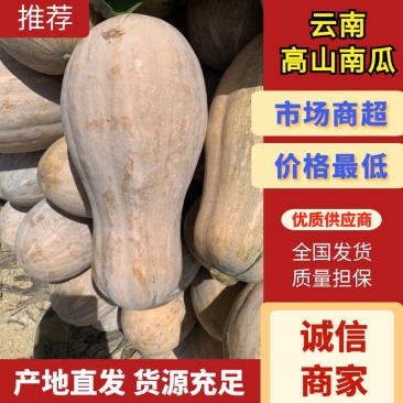云南高山南瓜蜜本南瓜产地发货一件代发欢迎咨询