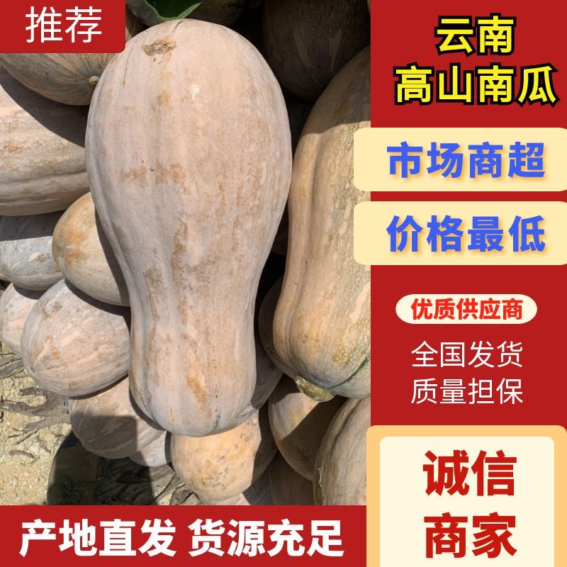 云南高山南瓜蜜本南瓜产地发货一件代发欢迎咨询