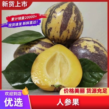 民勤县精品人参果产地直发口感清甜对接商超市场等