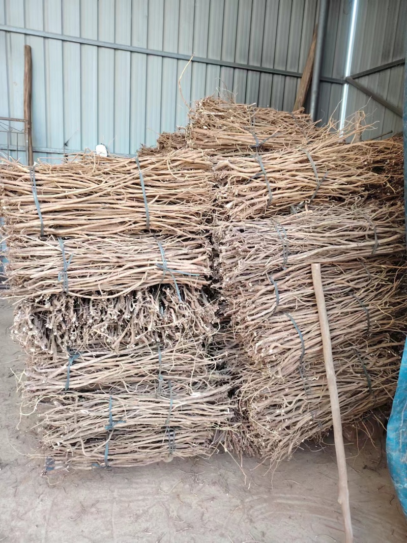 千斤拔干货产地直发品质保障量大优惠视频看货长期供货