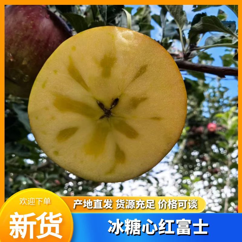 汉源高山冰糖心丑苹果，香甜可口，大量供应物美价廉