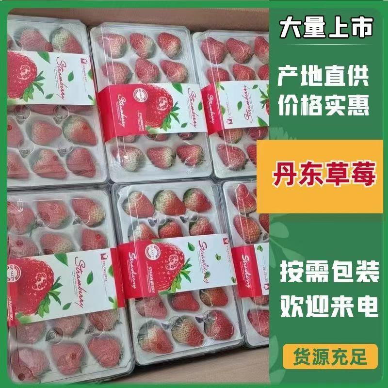 辽宁丹东九九红颜99红颜草莓万亩基地一手货源支持电商