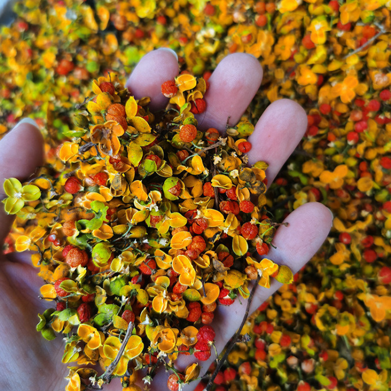 合欢花合欢花干花合欢花