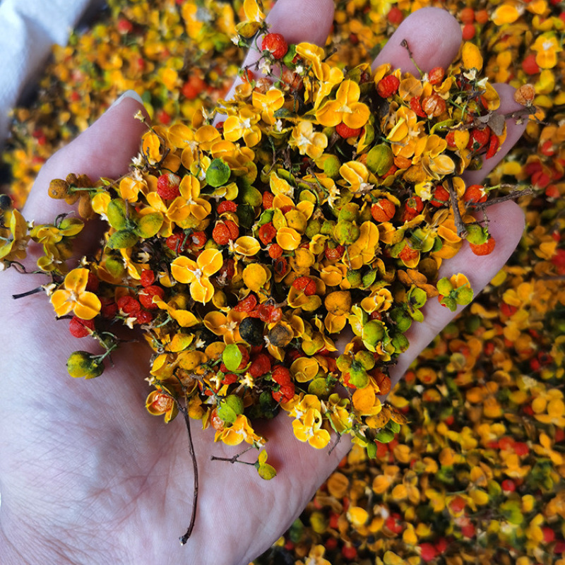 合欢花合欢花干花合欢花