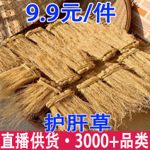 养肝草护肝草养肝草一件代发