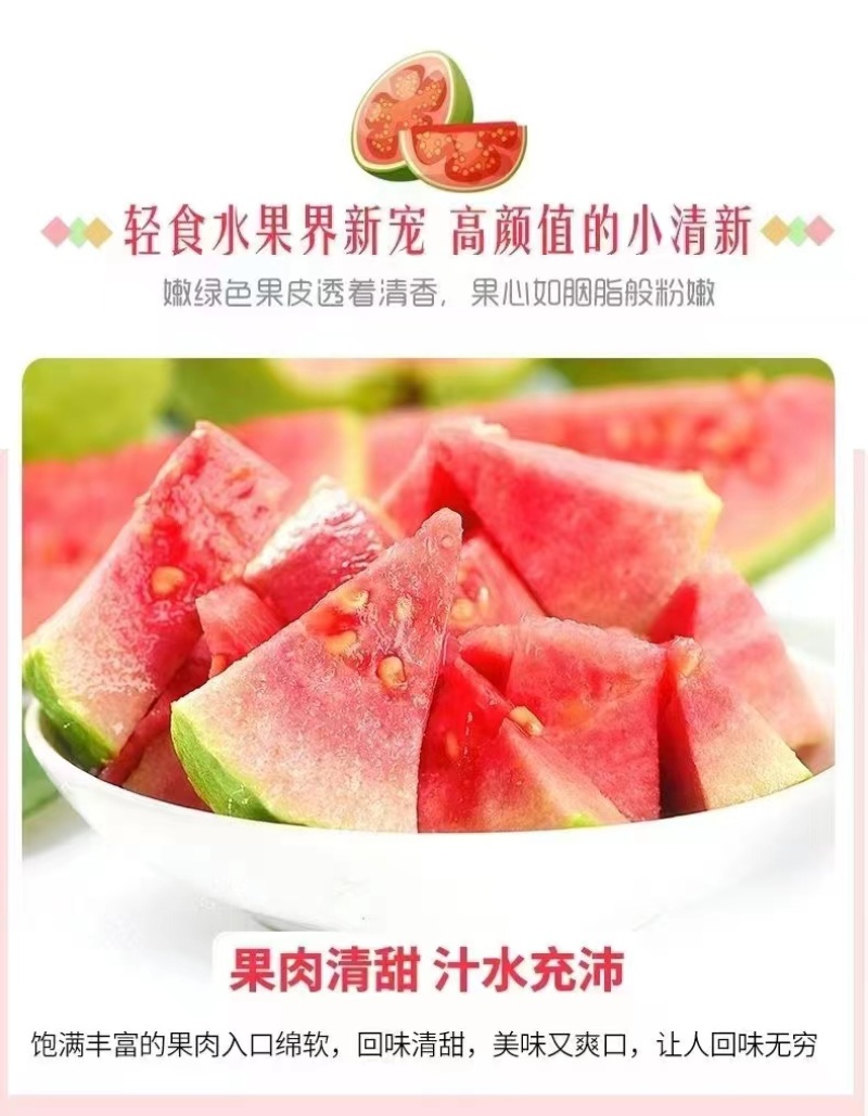 【精品】红心芭乐广告番石榴农户优选一条龙代办收购价格公道