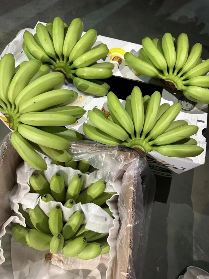 香蕉基地供应全国直销量大质优价格优惠一手货源