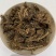 厂家直供酸模粉新货酸模代打超细中药材粉原料