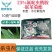 青岛瀚生暗箭25%氟啶虫酰胺·联苯菊酯