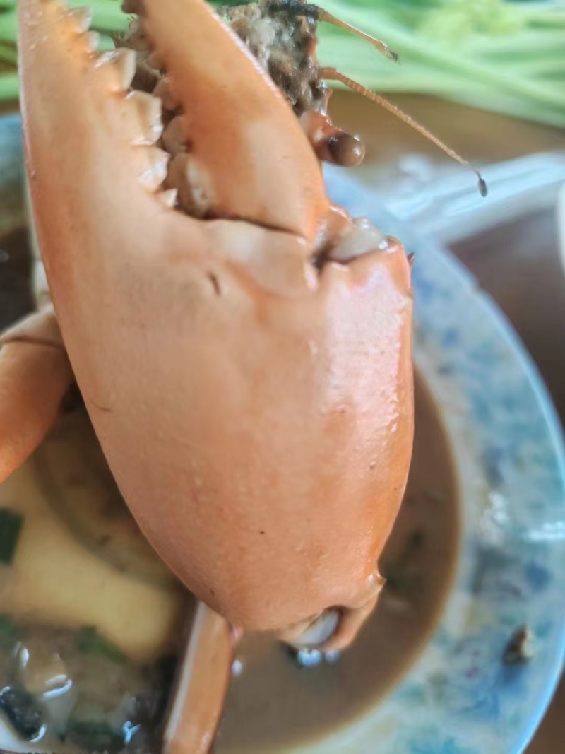 精品鲜活青蟹三门青蟹鲜活到家基地直发长期供货