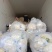 甘蓝西兰花花菜产地直发品相好发全国保质保量欢迎电联