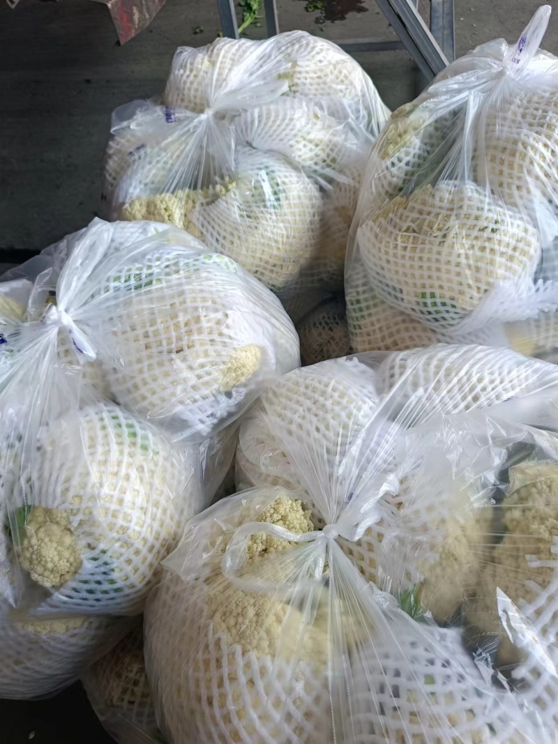 甘蓝西兰花花菜产地直发品相好发全国保质保量欢迎电联