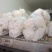 甘蓝西兰花花菜产地直发品相好发全国保质保量欢迎电联