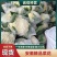精品有机花菜，小米花大米花，青梗白面，根小叶少，货源充足