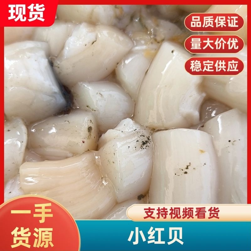扇贝肉，小红贝山东省烟台市高新区北寨村欢迎合作