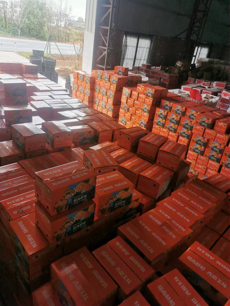 正宗赣南脐橙皮薄肉厚鲜嫩多汁产地直发诚信经营