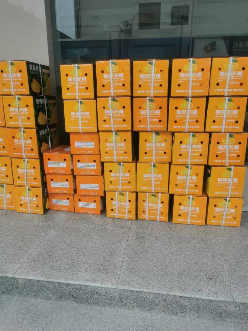 正宗赣南脐橙现摘现发全国直销供应电商商超一件代发