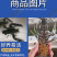 澳洲龙虾苗鲲腾鱼苗好鱼苗鲲腾出产地直销百万现货