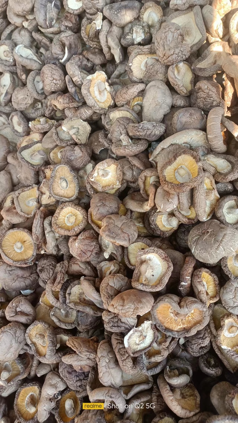 精品干香菇大量现货价格优惠供应全国诚信经营！