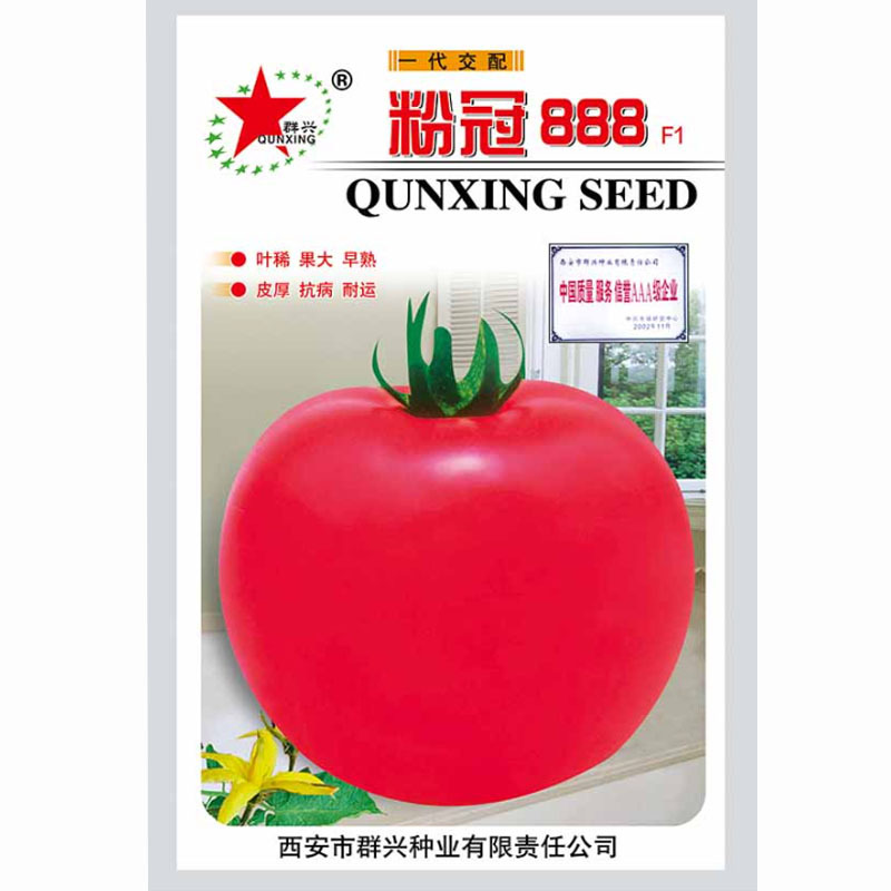 粉冠888西红柿种子果大早熟膨大快耐运输大田基地种植