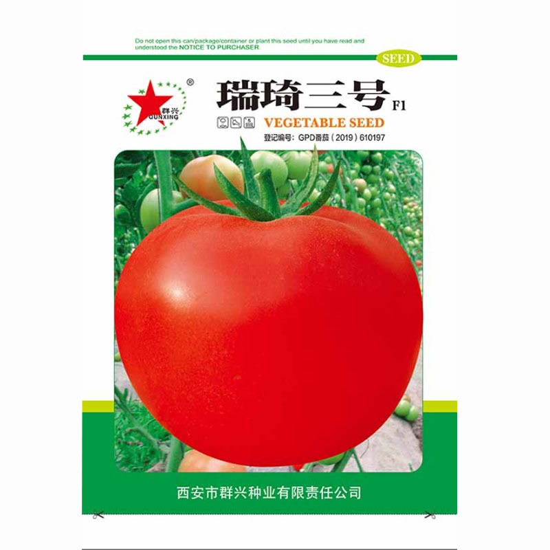 红果番茄种子瑞琦三号西红柿种子大果大田露地种植