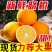 【电商一件代发】江西产地脐橙赣南脐橙-自产自销-品类齐全