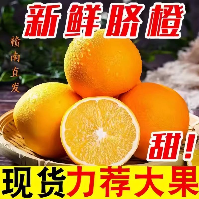 【电商一件代发】江西产地脐橙赣南脐橙-自产自销-品类齐全