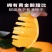 【电商一件代发】江西产地脐橙赣南脐橙-自产自销-品类齐全