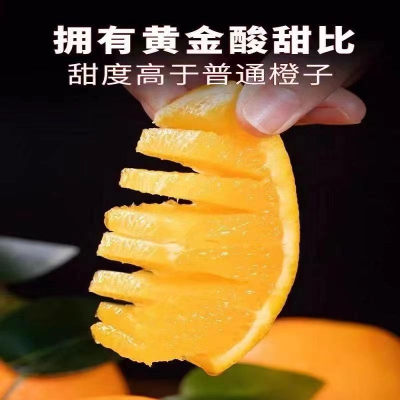 【电商一件代发】江西产地脐橙赣南脐橙-自产自销-品类齐全