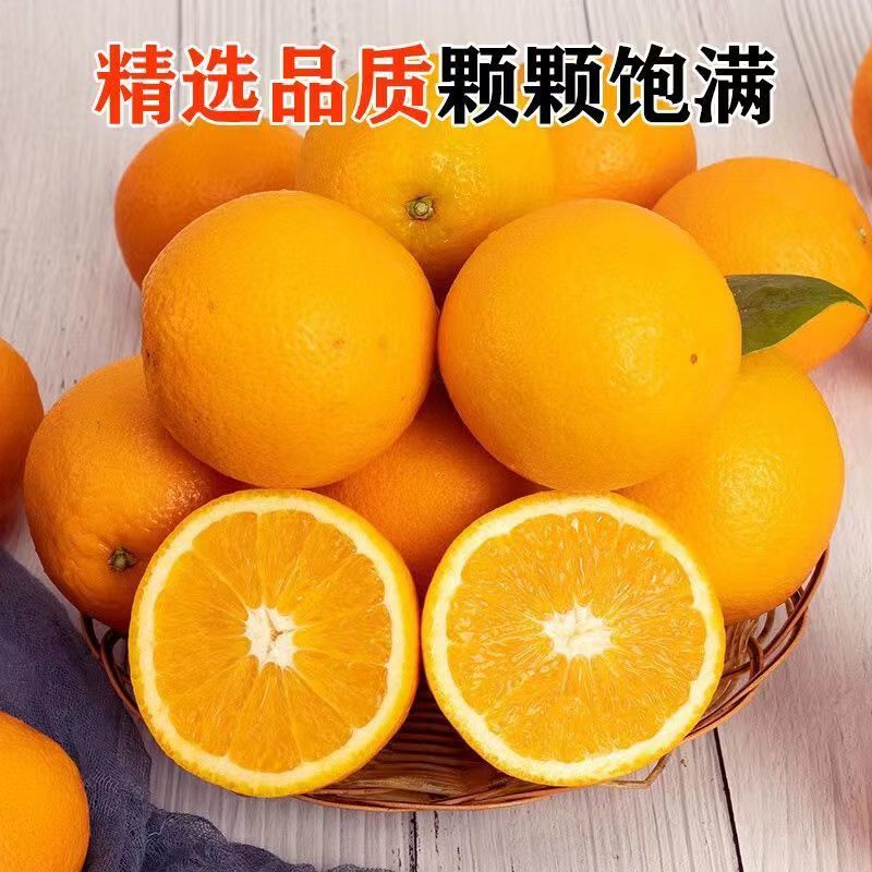 【电商一件代发】江西产地脐橙赣南脐橙-自产自销-品类齐全