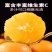 【电商一件代发】江西产地脐橙赣南脐橙-自产自销-品类齐全