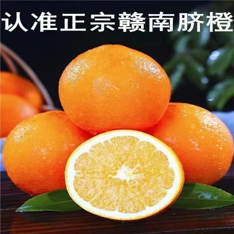 【电商一件代发】江西产地脐橙赣南脐橙-自产自销-品类齐全