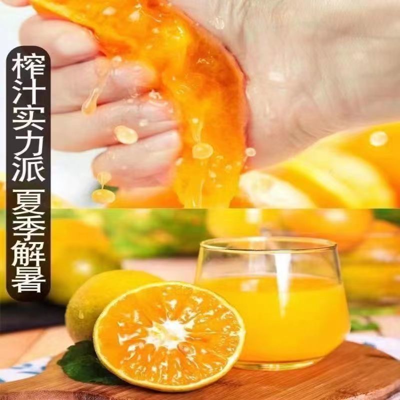 【电商一件代发】江西产地脐橙赣南脐橙-自产自销-品类齐全