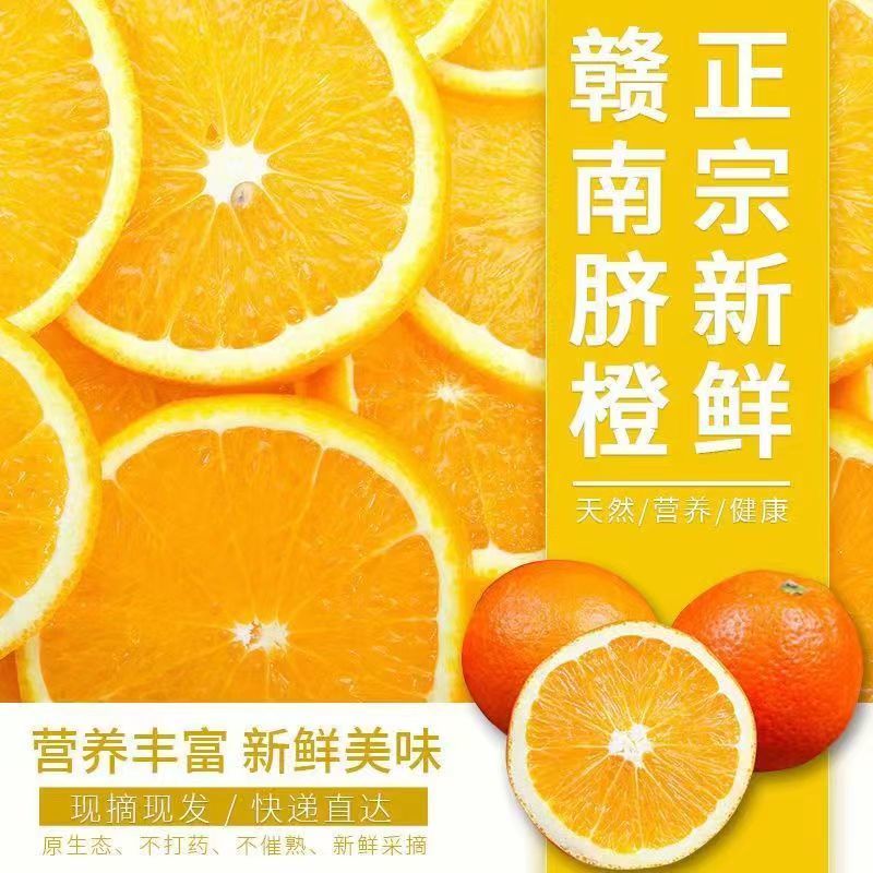 【电商一件代发】江西产地脐橙赣南脐橙-自产自销-品类齐全