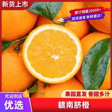 正宗赣南脐橙现摘现发全国直销供应电商商超一件代发