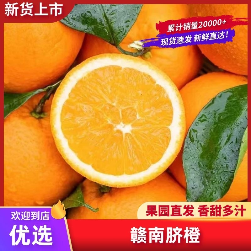 正宗赣南脐橙现摘现发全国直销供应电商商超一件代发