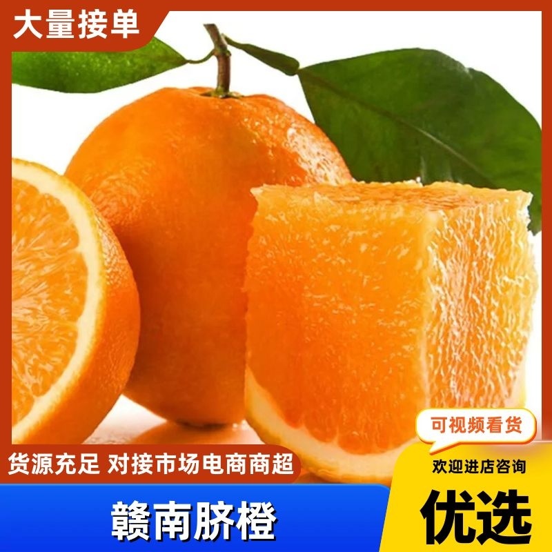【实力推荐】赣州脐橙果园装货，品质保证果型大皮薄肉厚
