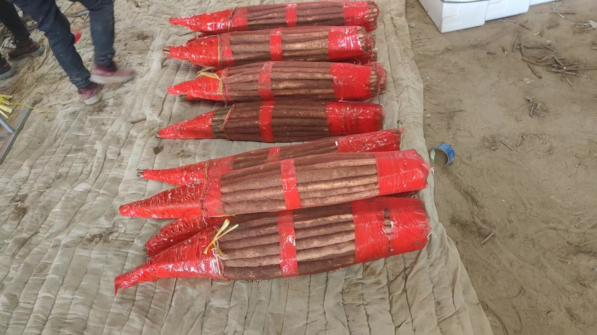 一张整洁的展台上陈列着多种双棒山药深加工产品:包括独立包装的冻干山药片、玻璃瓶装山药浆、礼盒装山药米粉、即食山药泥以及二维码溯源标签,背景为现代化食品加工车间 双棒山药深加工产品展示图