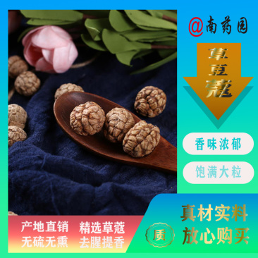 草豆蔻广西草豆蔻优质无硫南药园直供