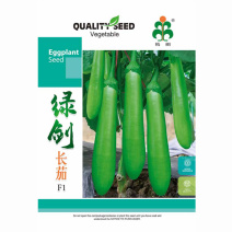青皮茄子种子绿剑长茄籽皮薄果顺直肉白色早熟高产