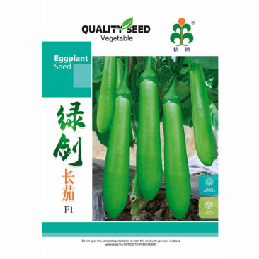 青皮茄子种子绿剑长茄籽皮薄果顺直肉白色早熟高产